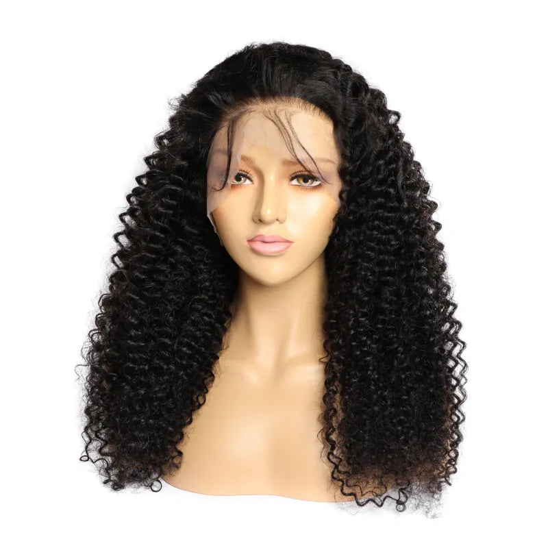 Curly Human Hair Lace Wig - FASHION FLOOD