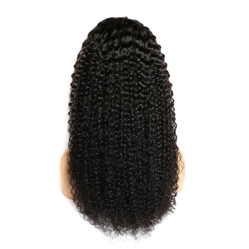 Curly Human Hair Lace Wig - FASHION FLOOD